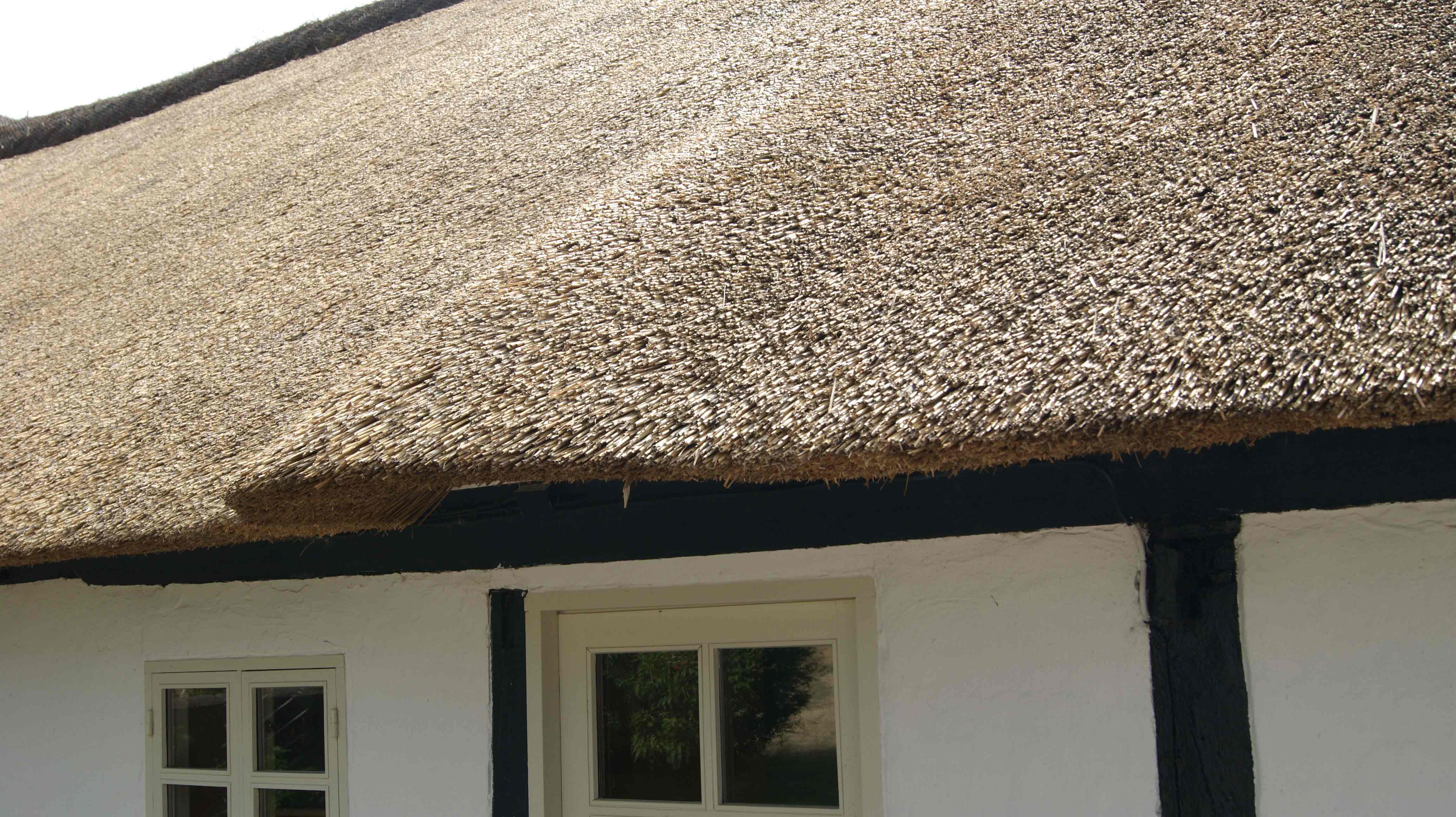 Nyt stråtag Jylland