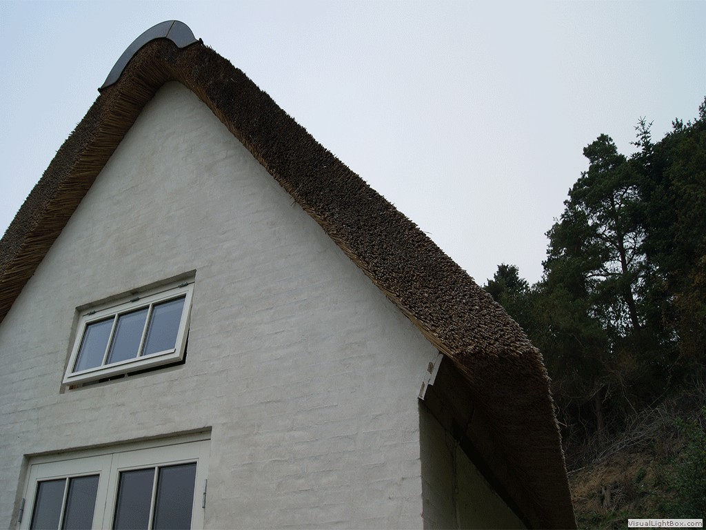 Stråtag til hvidt hus